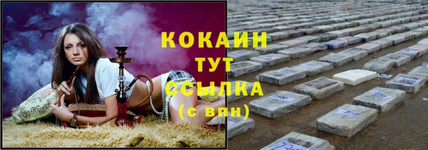 spice Беломорск