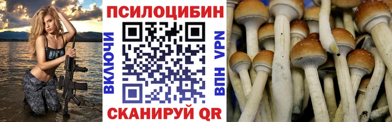 закладка  Волжск  Псилоцибиновые грибы мухоморы 